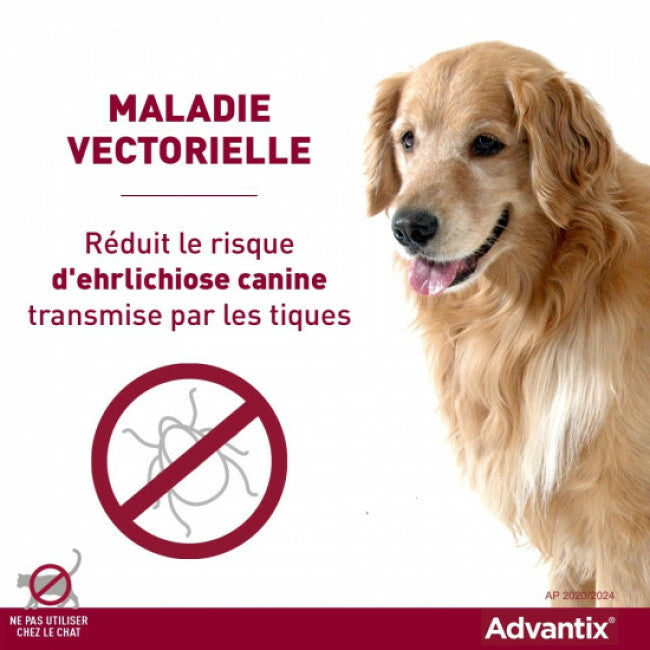 Advantix soin antiparasitaire pour chiens