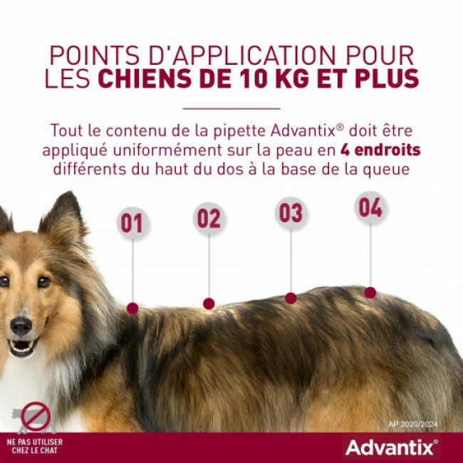 Advantix soin antiparasitaire pour chiens
