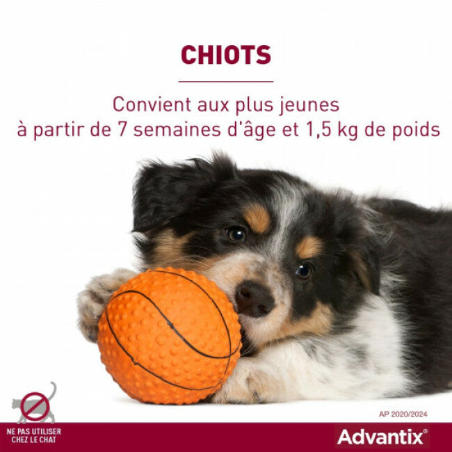 Advantix soin antiparasitaire pour chiens