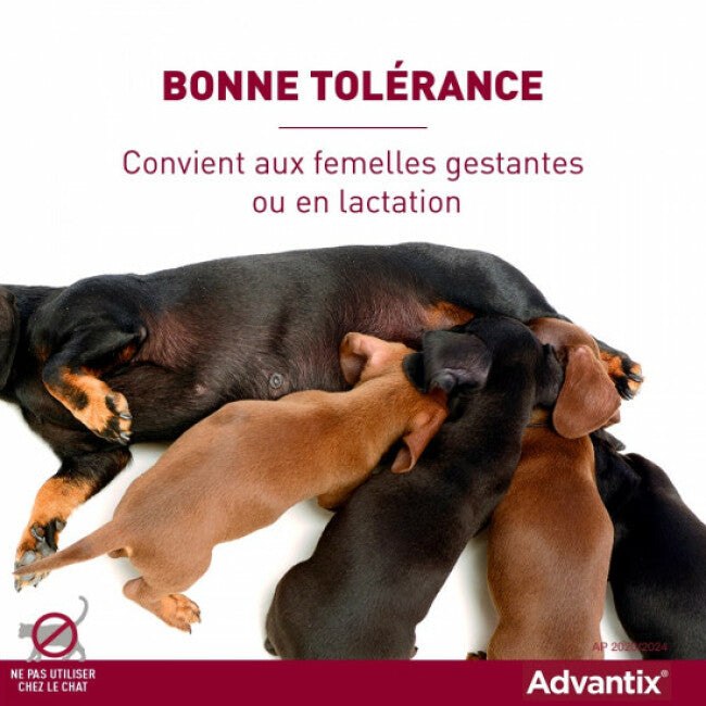 Advantix soin antiparasitaire pour chiens