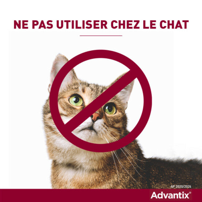 Advantix soin antiparasitaire pour chiens