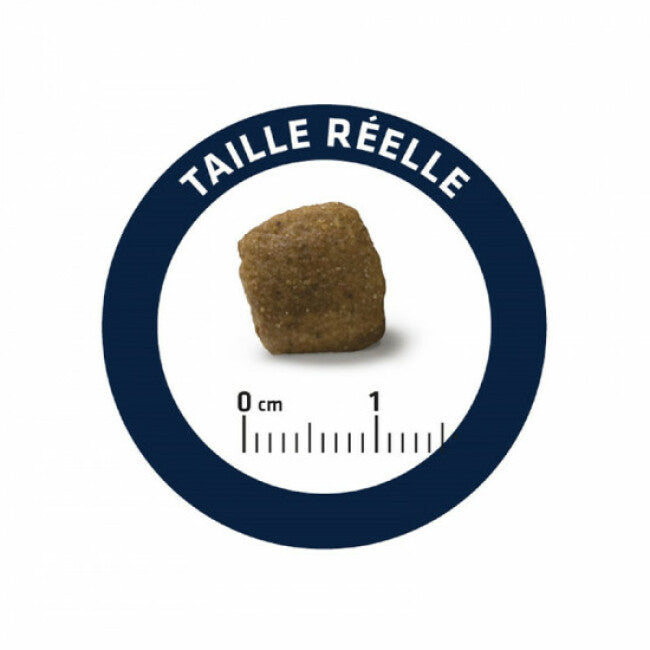 Croquettes Advance pour chiens Veterinary Diets Articular Care + 7 ans