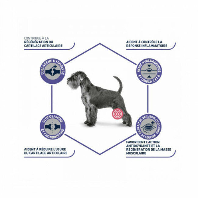 Croquettes Advance pour chiens Veterinary Diets Articular Care + 7 ans
