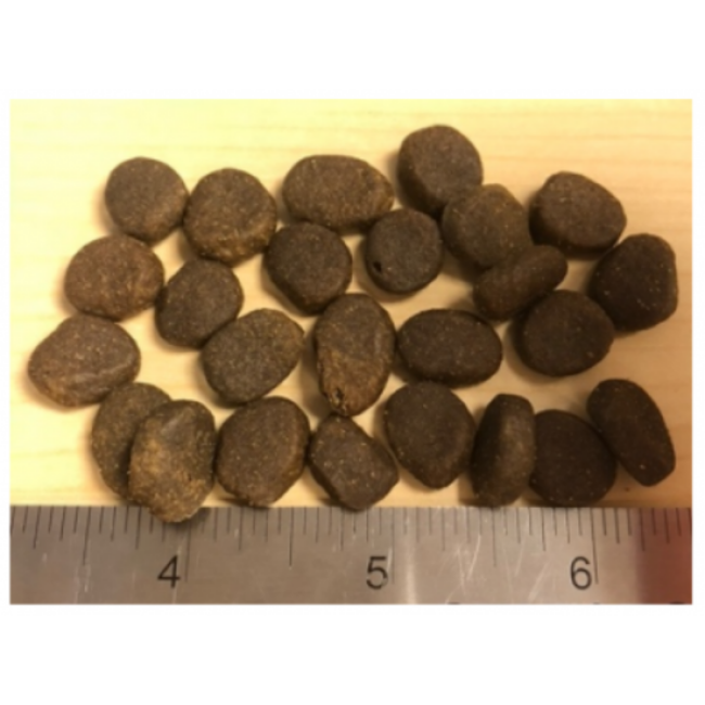 Croquettes Orijen Senior pour chien