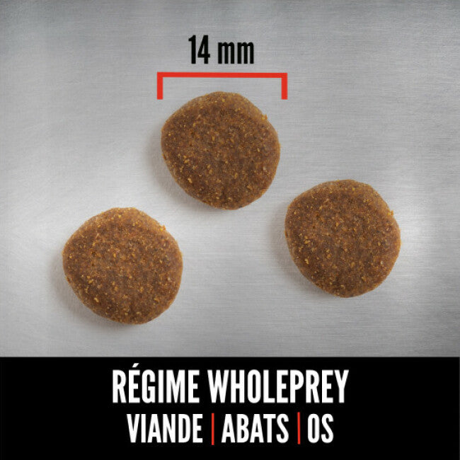 Croquettes Orijen Senior pour chien