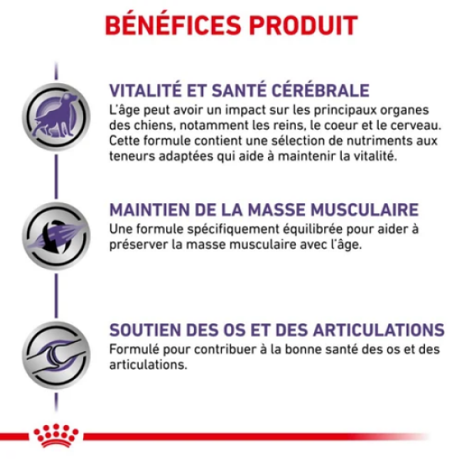 Croquettes Royal Canin Expert Care Mature Consult Senior Large Dog