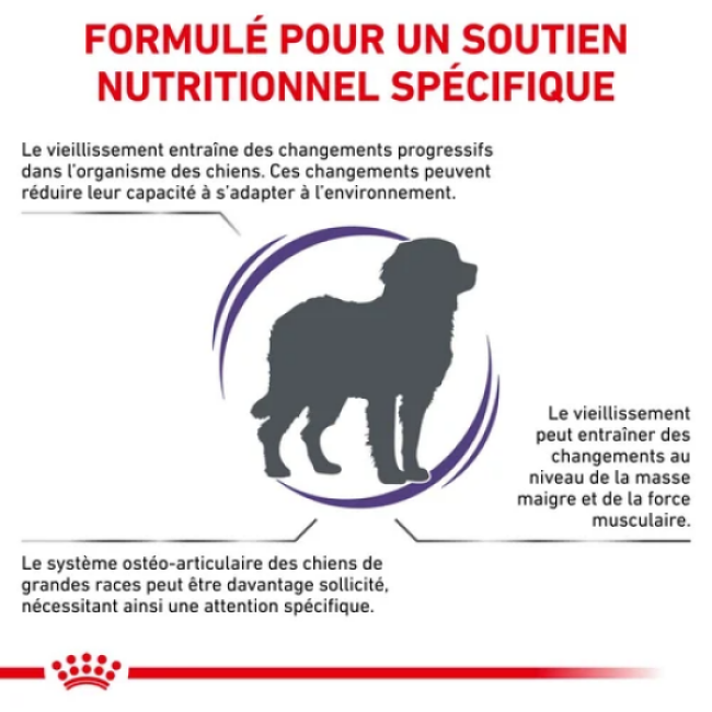 Croquettes Royal Canin Expert Care Mature Consult Senior Large Dog