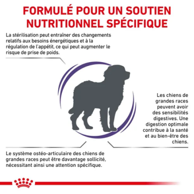 Croquettes Royal Canin Expert Care Neutered Adulte Large Dog pour chien