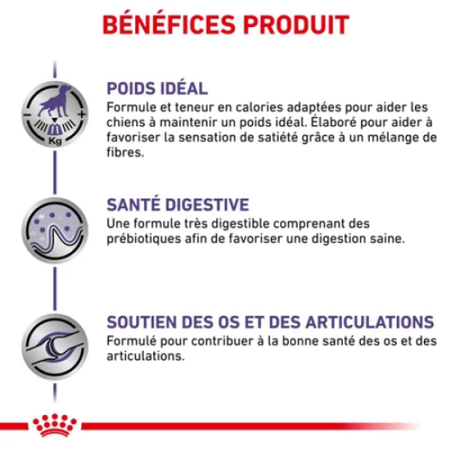 Croquettes Royal Canin Expert Care Neutered Adulte Large Dog pour chien