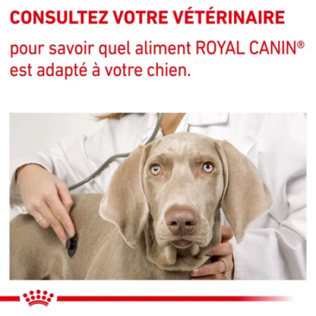 Croquettes Royal Canin Expert Care Neutered Adulte Large Dog pour chien