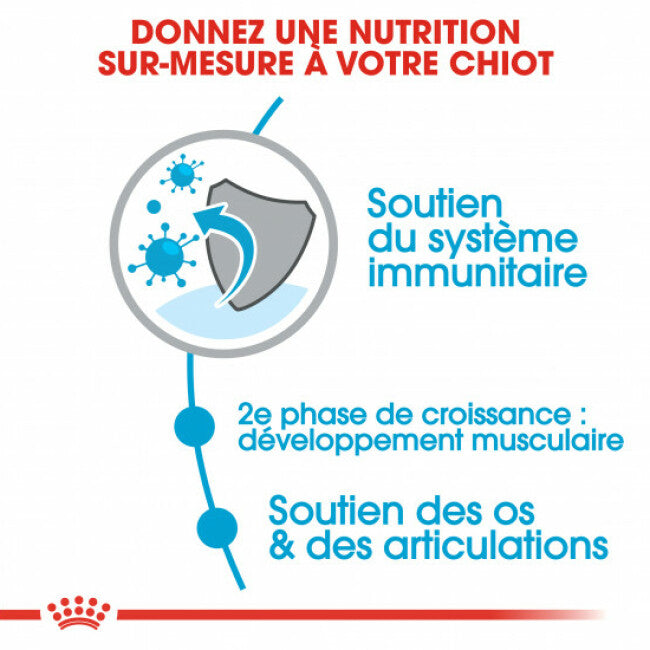 Croquettes Royal Canin Giant Junior