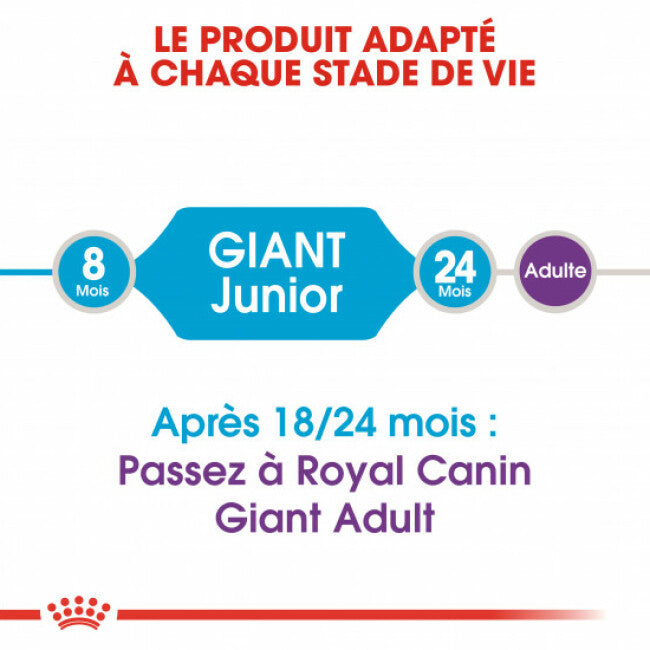 Croquettes Royal Canin Giant Junior