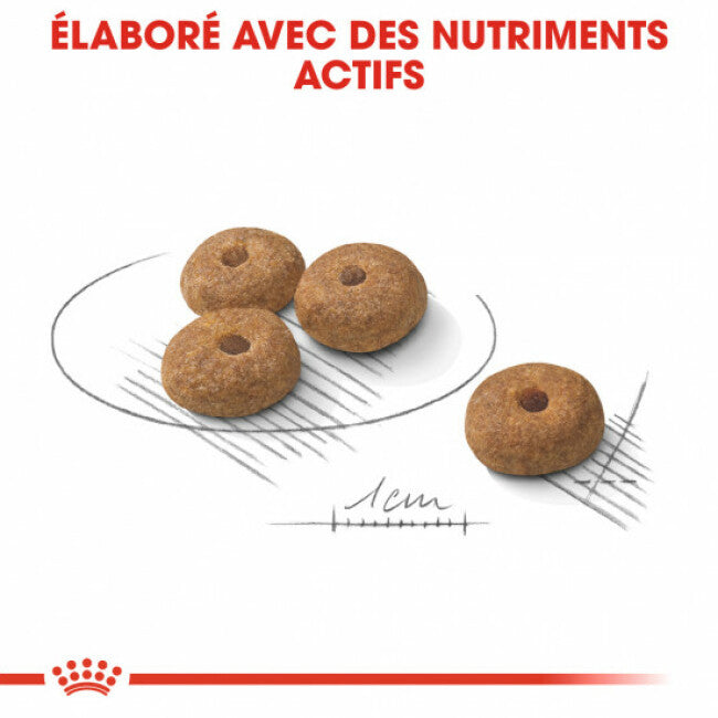 Croquettes Royal Canin Mini Adulte Sterilised