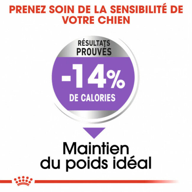 Croquettes Royal Canin Mini Adulte Sterilised