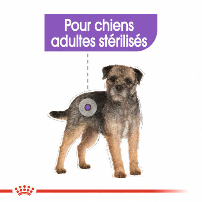 Croquettes Royal Canin Mini Adulte Sterilised