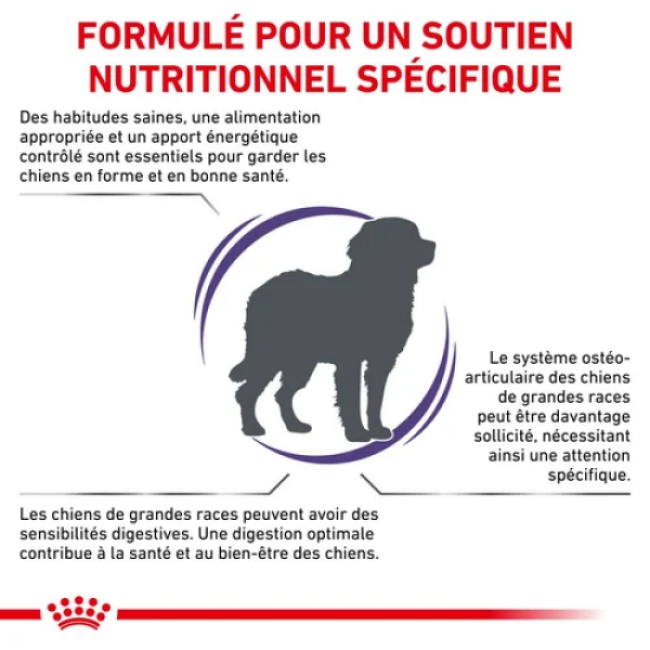 Croquettes Royal Canin Expert Care Adulte Large Dog