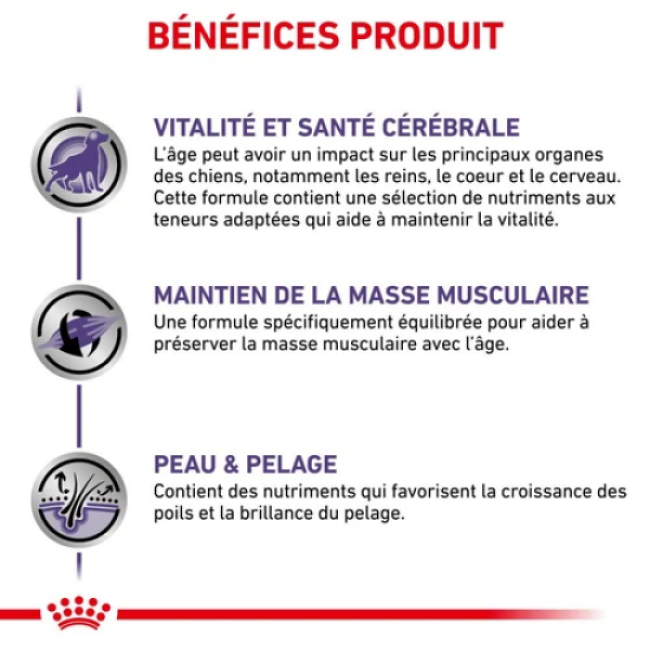 Croquettes Royal Canin Expert Care Mature Consult Senior Medium