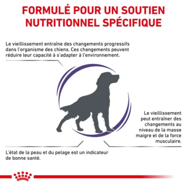Croquettes Royal Canin Expert Care Mature Consult Senior Medium