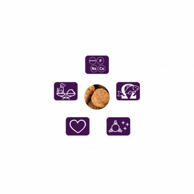 Croquettes Specific pour chiens CGD Senior Large & Giant