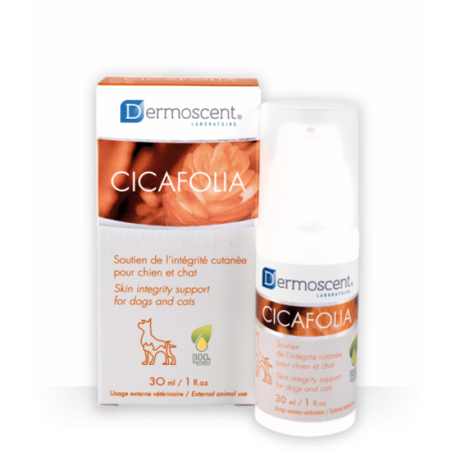 Dermoscent Cicafolia crème cicatrisante pour chats