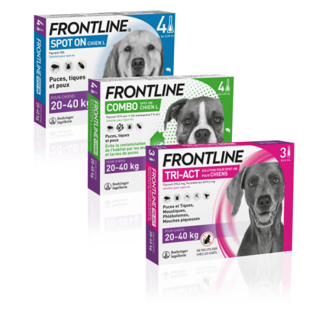 Frontline Tri-Act pipettes antiparasitaires pour chien