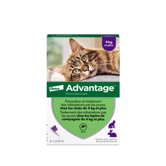 Advantage Anti-puces pour chats