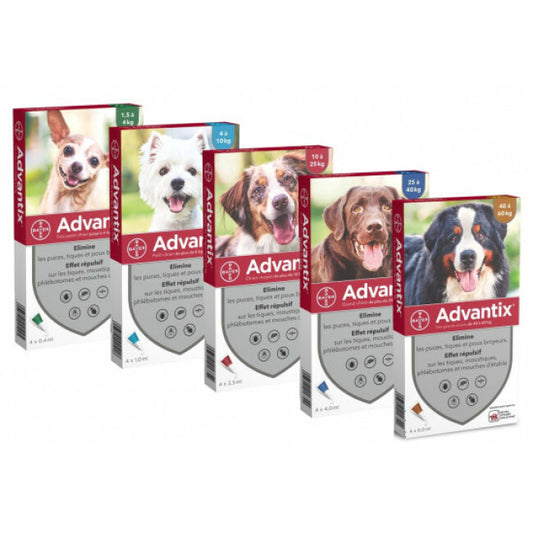 Advantix soin antiparasitaire pour chiens