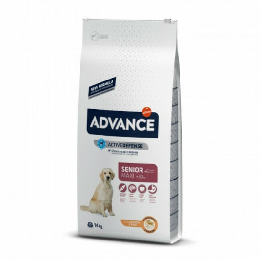 Croquettes Advance Maxi Senior pour chiens