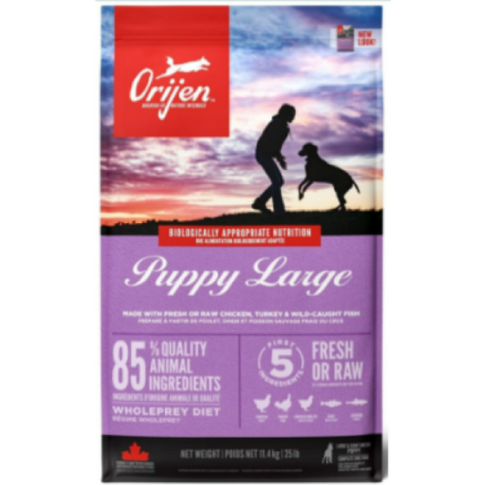 Orijen Puppy large breed pour chiot grande race