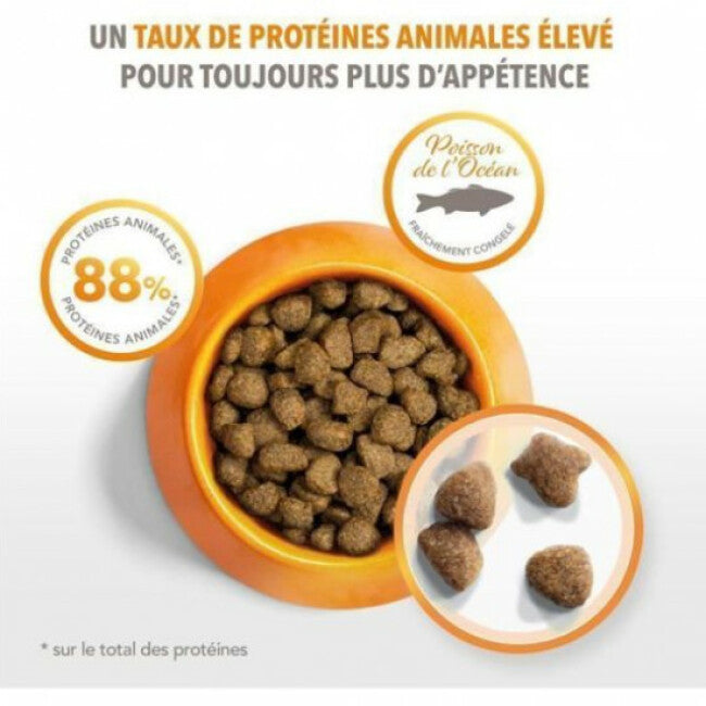 Croquettes pour chat adulte IAMS Vitality