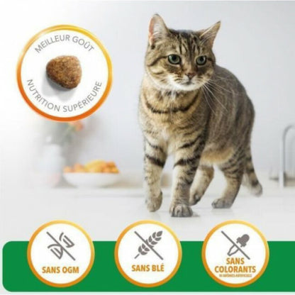 Croquettes pour chat adulte IAMS Vitality