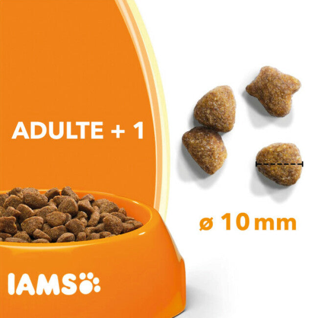 Croquettes pour chat adulte IAMS Vitality