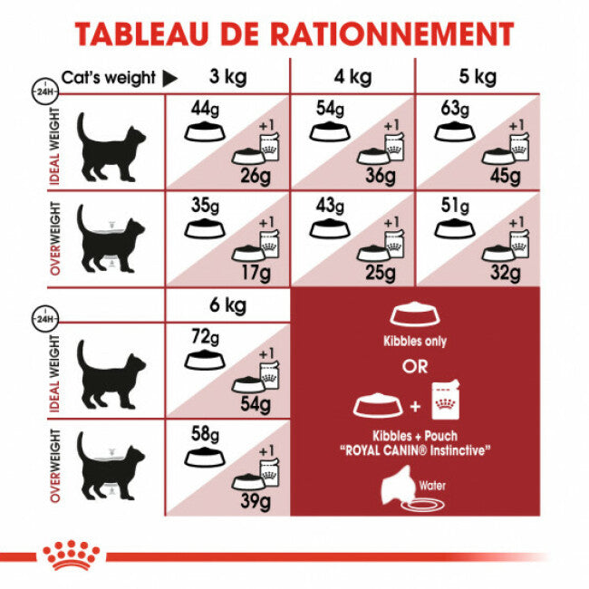 Croquettes pour chats Royal Canin FIT 32