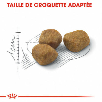 Croquettes pour chats Royal Canin FIT 32