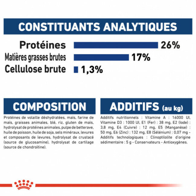 Croquettes Royal Canin Maxi Adulte