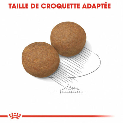 Croquettes Royal Canin Maxi Adulte