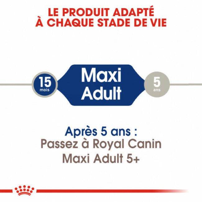 Croquettes Royal Canin Maxi Adulte