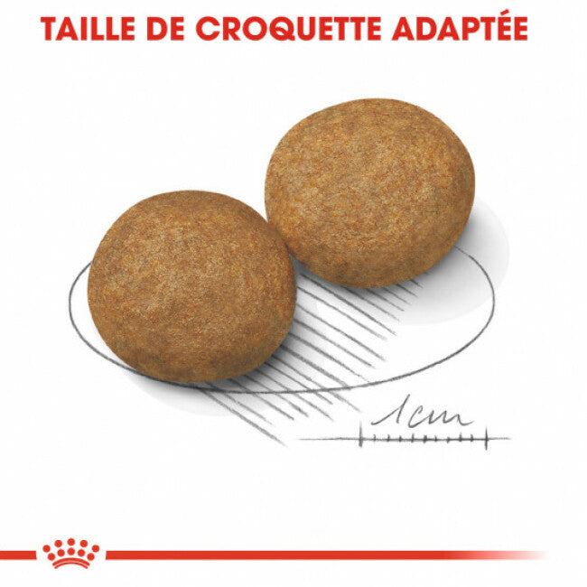 Royal Canin Medium Adulte