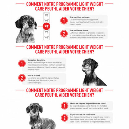 Croquettes Royal Canin Mini Light Weight Care pour petit chien en embonpoint