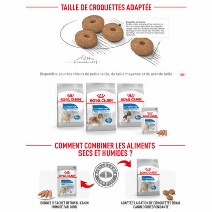 Croquettes Royal Canin Mini Light Weight Care pour petit chien en embonpoint