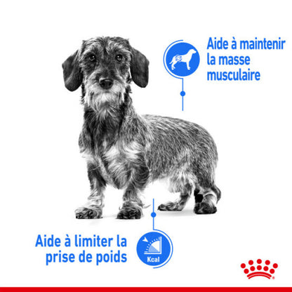 Croquettes Royal Canin Mini Light Weight Care pour petit chien en embonpoint