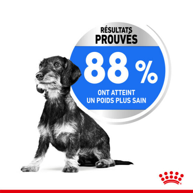 Croquettes Royal Canin Mini Light Weight Care pour petit chien en embonpoint