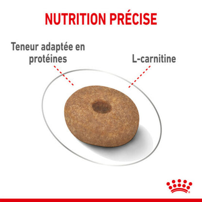 Croquettes Royal Canin Mini Light Weight Care pour petit chien en embonpoint