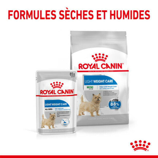 Croquettes Royal Canin Mini Light Weight Care pour petit chien en embonpoint